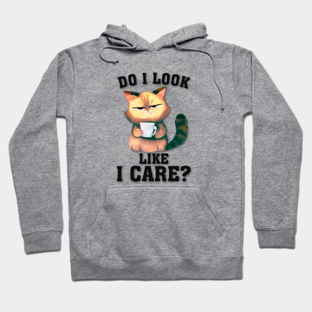 Do I Look Like I Care? Hoodie by KayBee Gift Shop